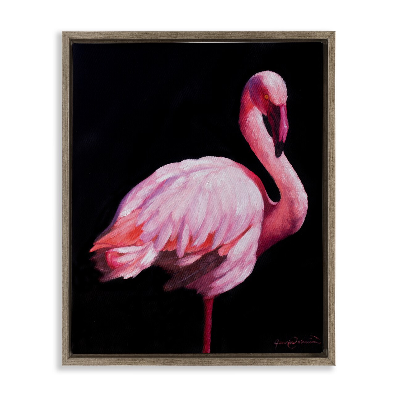 Stupell Industries Elegant & Exotic Flamingo Floating Frame, design by James Corwin